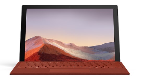 龙凤清洁和维护 Surface